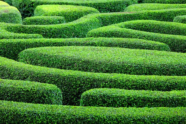 How to Design an Outdoor Meditation Labyrinth for Mindfulness and Relaxation?