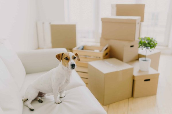 How to Choose and Style a Wireless Bra for Comfort in the Office?